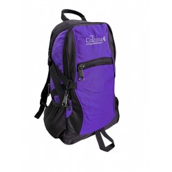 907 Purple