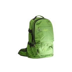 956 Green
