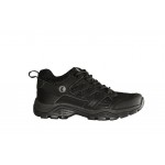 3802 Lady Black