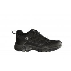 3802 Lady Black