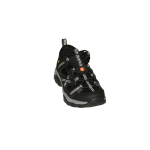 3938 Lady Black