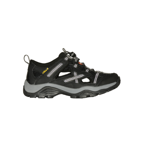 3938 Lady Black