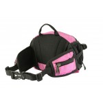 981 Pink